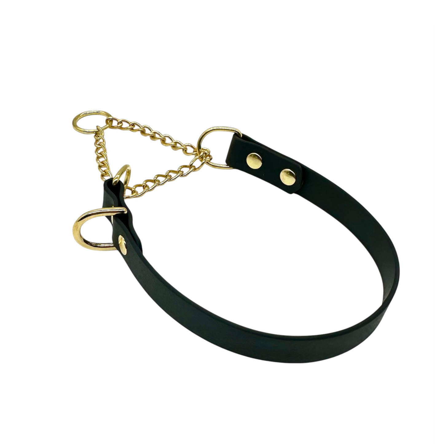 L&J Pets UK Martingale Dog Collar & Lead Set | Waterproof & Odour Proof | BioThane Webbing | Solid Brass Chain | Made in UK