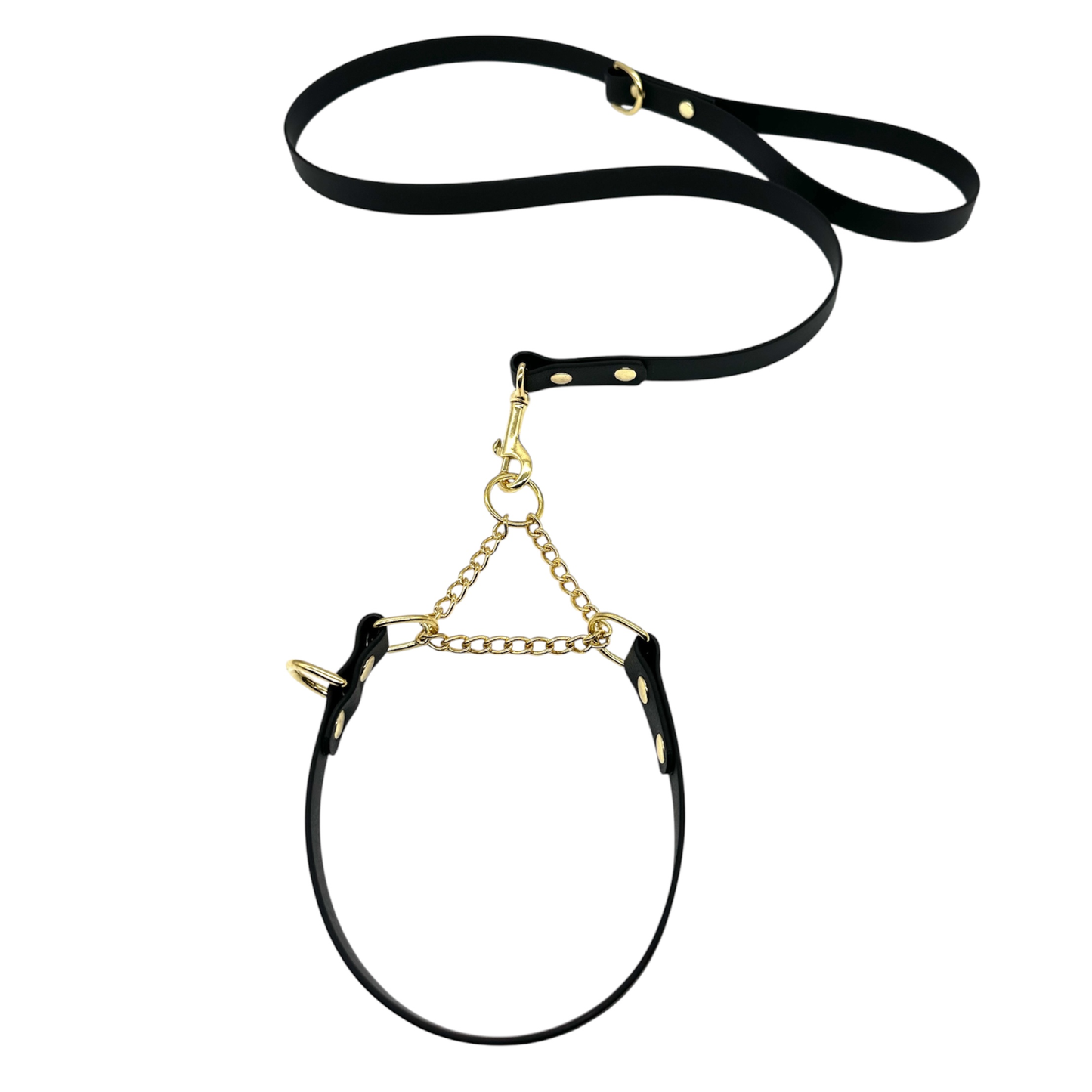 L&J Pets UK Martingale Dog Collar & Lead Set | Waterproof & Odour Proof | BioThane Webbing | Solid Brass Chain | Made in UK