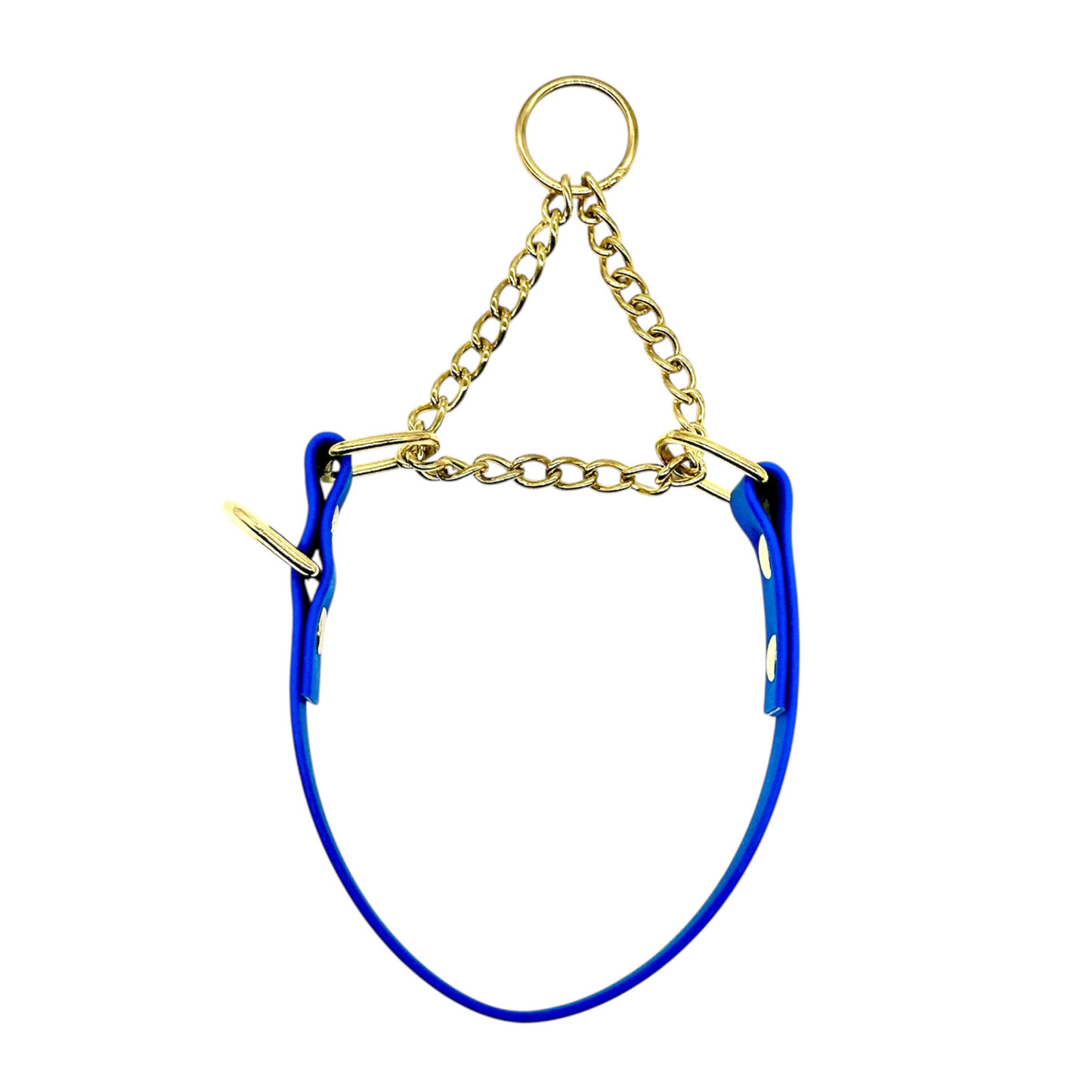 L&J Pets UK Martingale Dog Collar & Lead Set | Waterproof & Odour Proof | BioThane Webbing | Solid Brass Chain | Made in UK