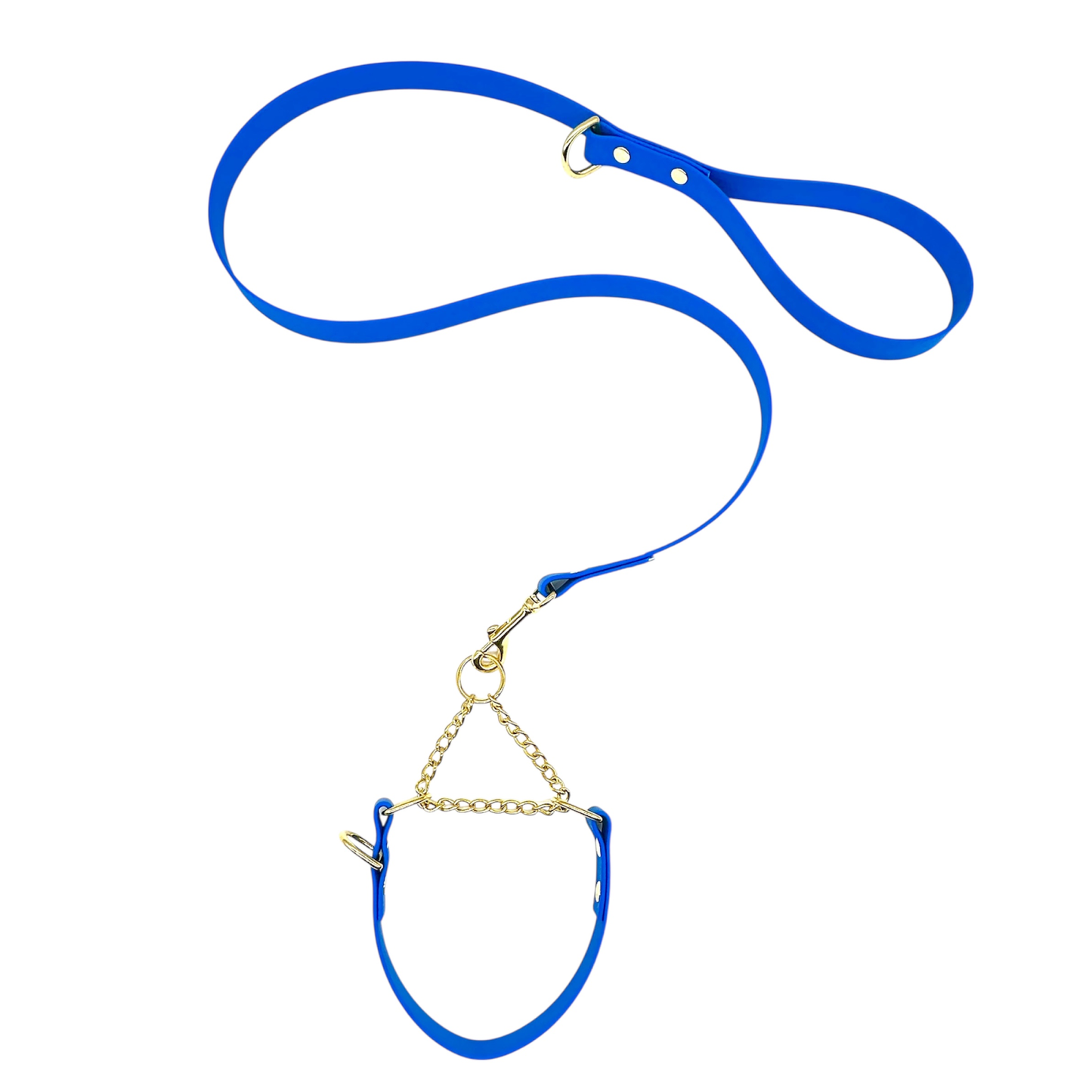 L&J Pets UK Martingale Dog Collar & Lead Set | Waterproof & Odour Proof | BioThane Webbing | Solid Brass Chain | Made in UK