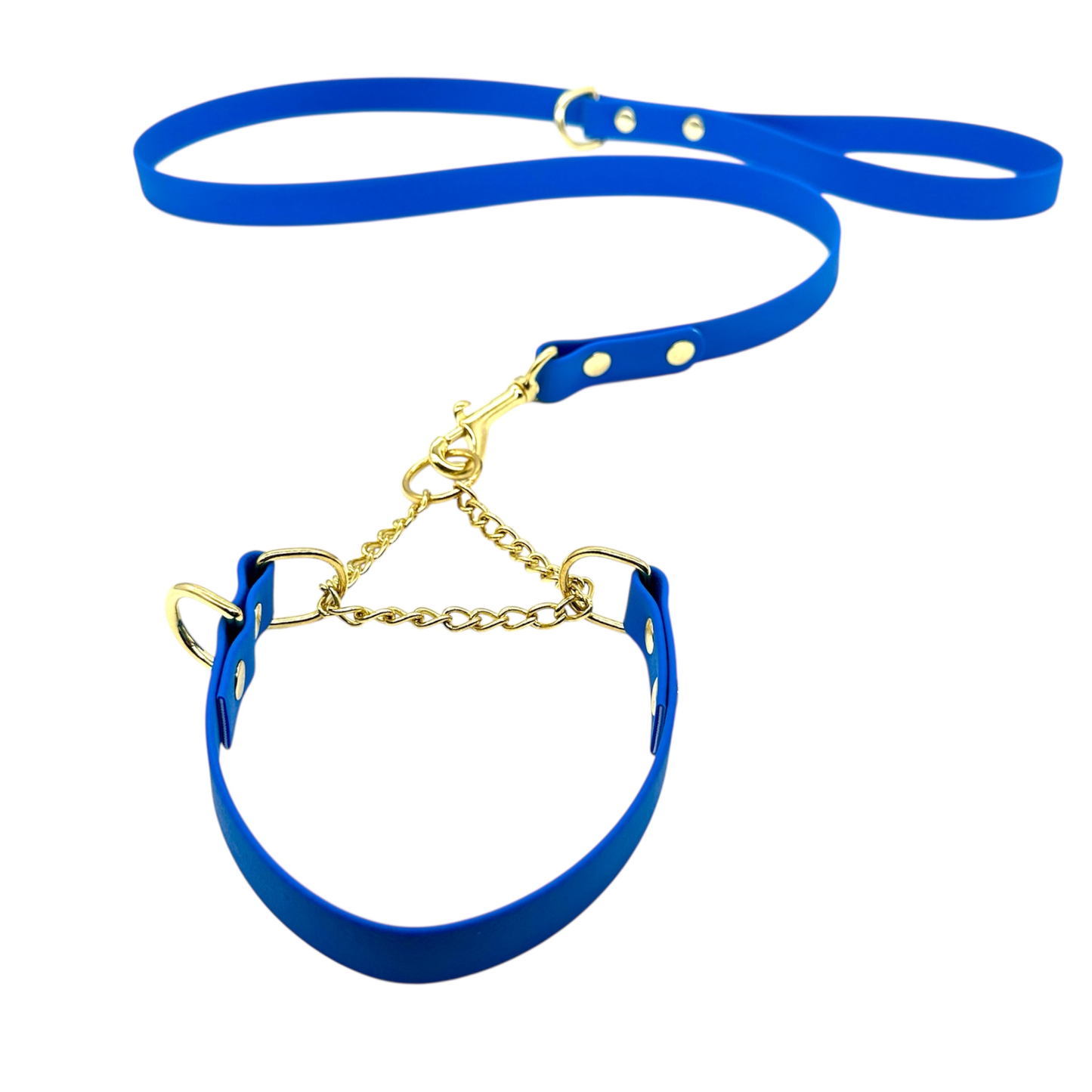 L&J Pets UK Martingale Dog Collar & Lead Set | Waterproof & Odour Proof | BioThane Webbing | Solid Brass Chain | Made in UK