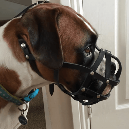 Lightweight Leather Dog Muzzle for Boxer and Similar Short Snouted Dogs | Real Leather Dog Muzzle
