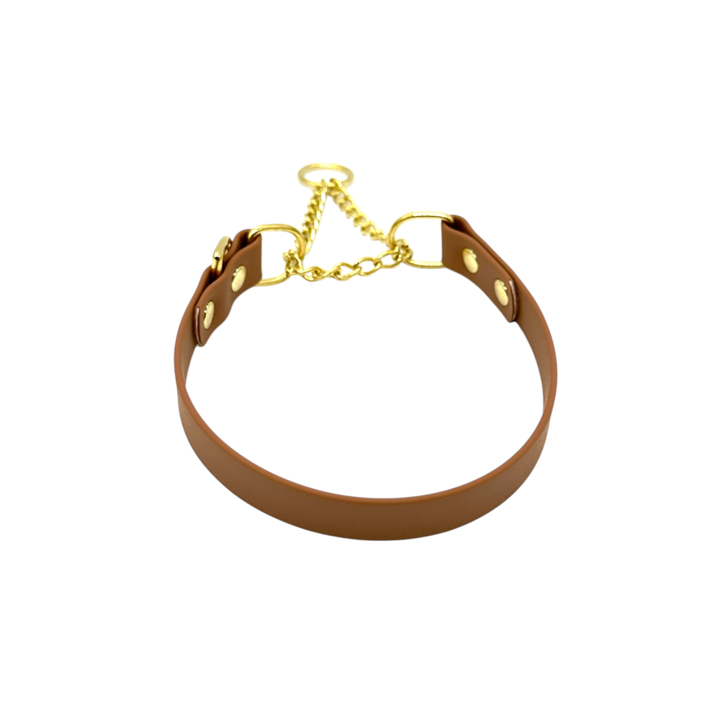 L&J Pets UK Martingale Dog Collar & Lead Set | Waterproof & Odour Proof | BioThane Webbing | Solid Brass Chain | Made in UK