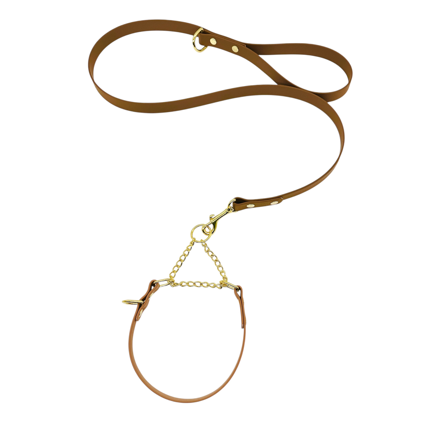 L&J Pets UK Martingale Dog Collar & Lead Set | Waterproof & Odour Proof | BioThane Webbing | Solid Brass Chain | Made in UK