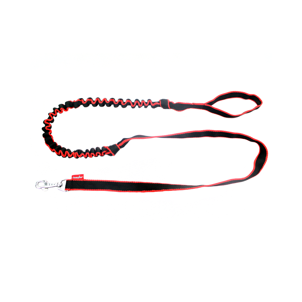 Dog Lead Bungee