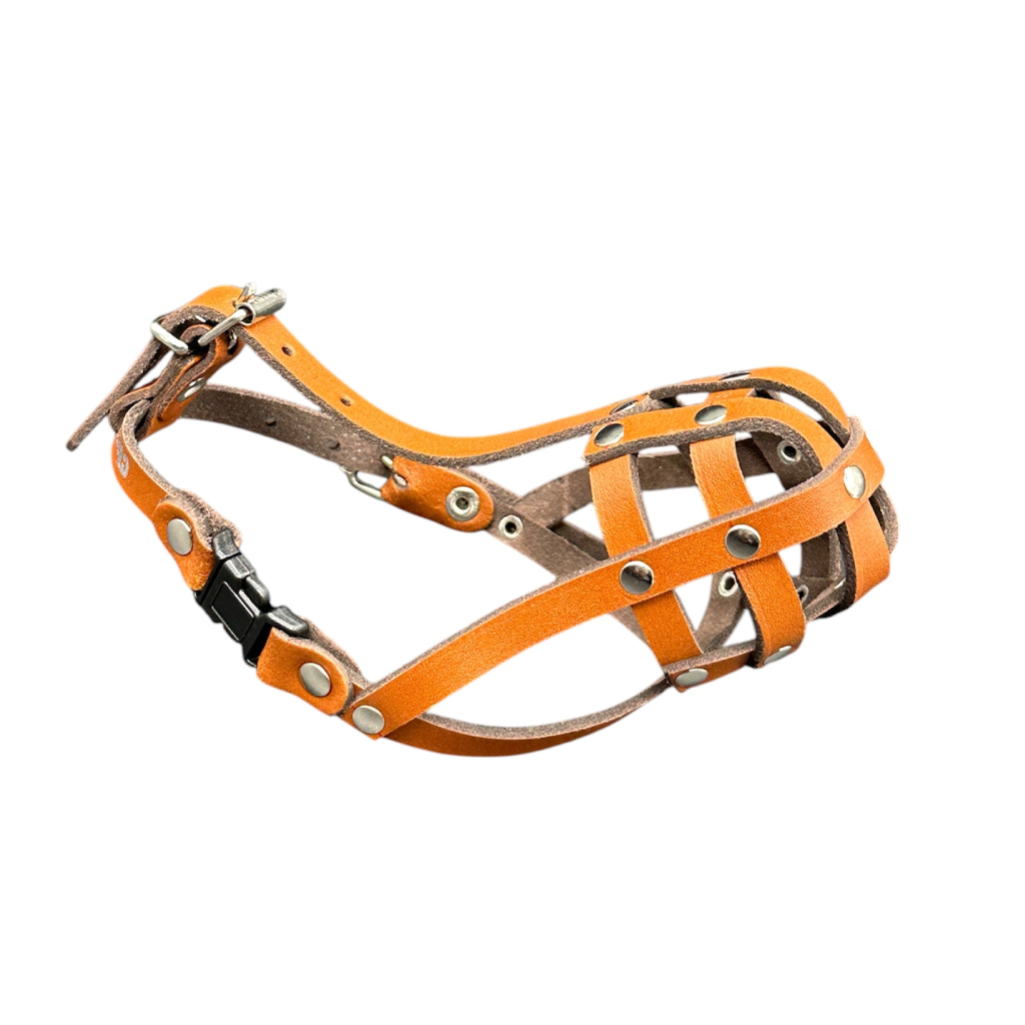 Lightweight Leather Dog Muzzle for Chihuahua Yorkshire Terrier Mini Pitcher & Other