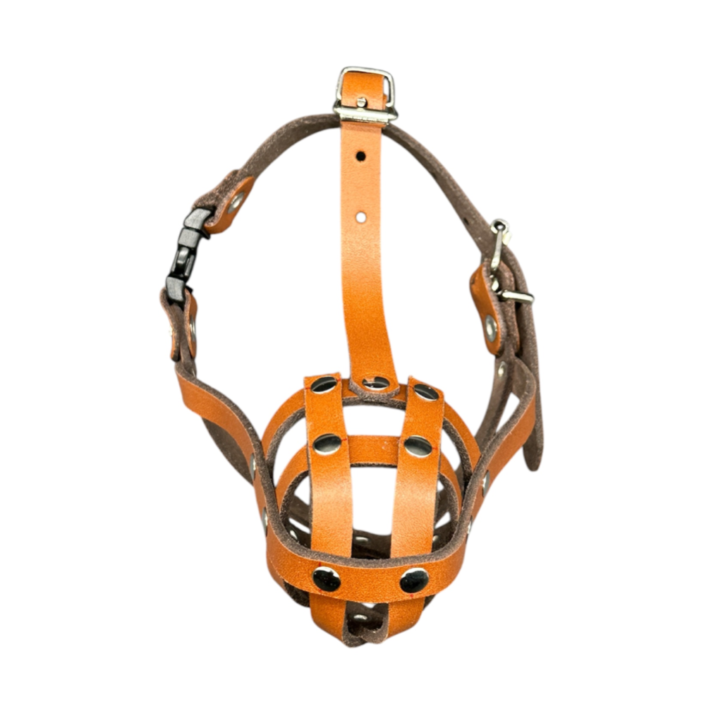 Lightweight Leather Dog Muzzle for Chihuahua Yorkshire Terrier Mini Pitcher & Other