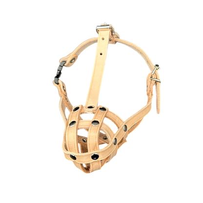 Lightweight Leather Dog Muzzle for Chihuahua Yorkshire Terrier Mini Pitcher & Other