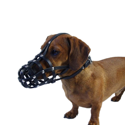 Lightweight Leather Dog Muzzle for Dachshunds & Similar Dogs