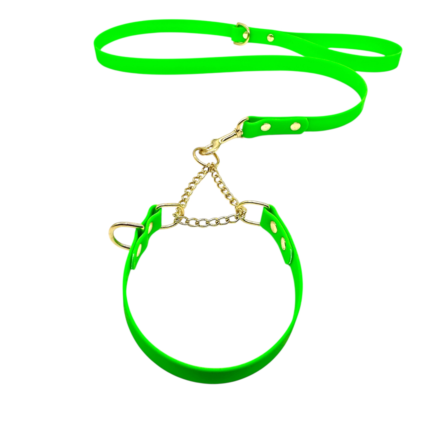 L&J Pets UK Martingale Dog Collar & Lead Set | Waterproof & Odour Proof | BioThane Webbing | Solid Brass Chain | Made in UK