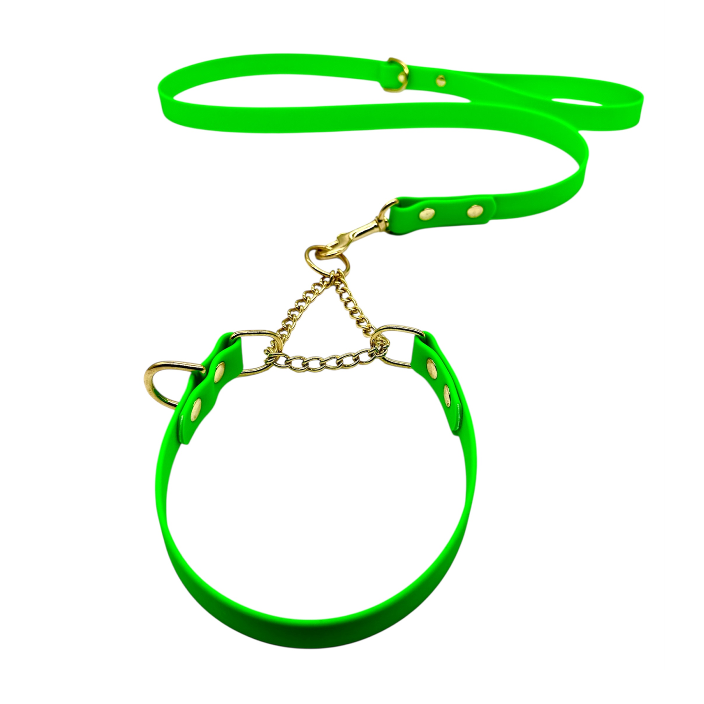 L&J Pets UK Martingale Dog Collar & Lead Set | Waterproof & Odour Proof | BioThane Webbing | Solid Brass Chain | Made in UK