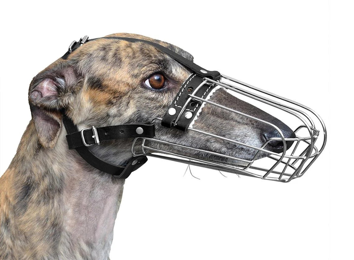 Strong Metal Wire Basket Dog Muzzle Greyhound Collie and similar dogs