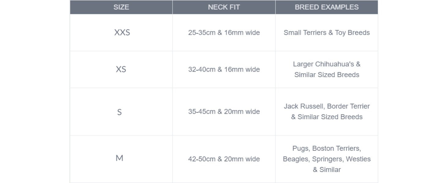 collar size table