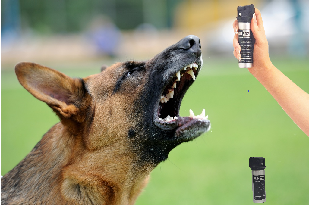 Bite-back Non-Toxic Dog Deterrent The Professionals Dog Training Device 50ml