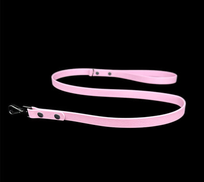 biothane dog lead