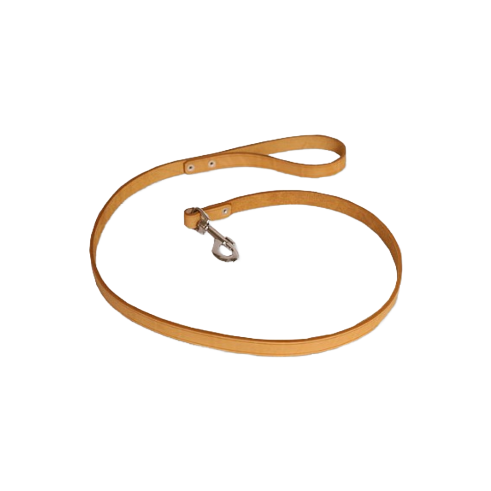 Dog Lead
