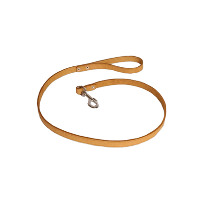 Dog Lead
