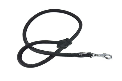 dog lead