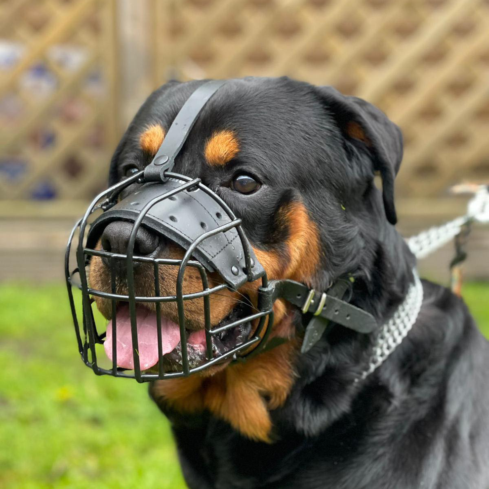 Metal Wire Basket Dog Muzzle| Rottweiler | L&J Pets UK