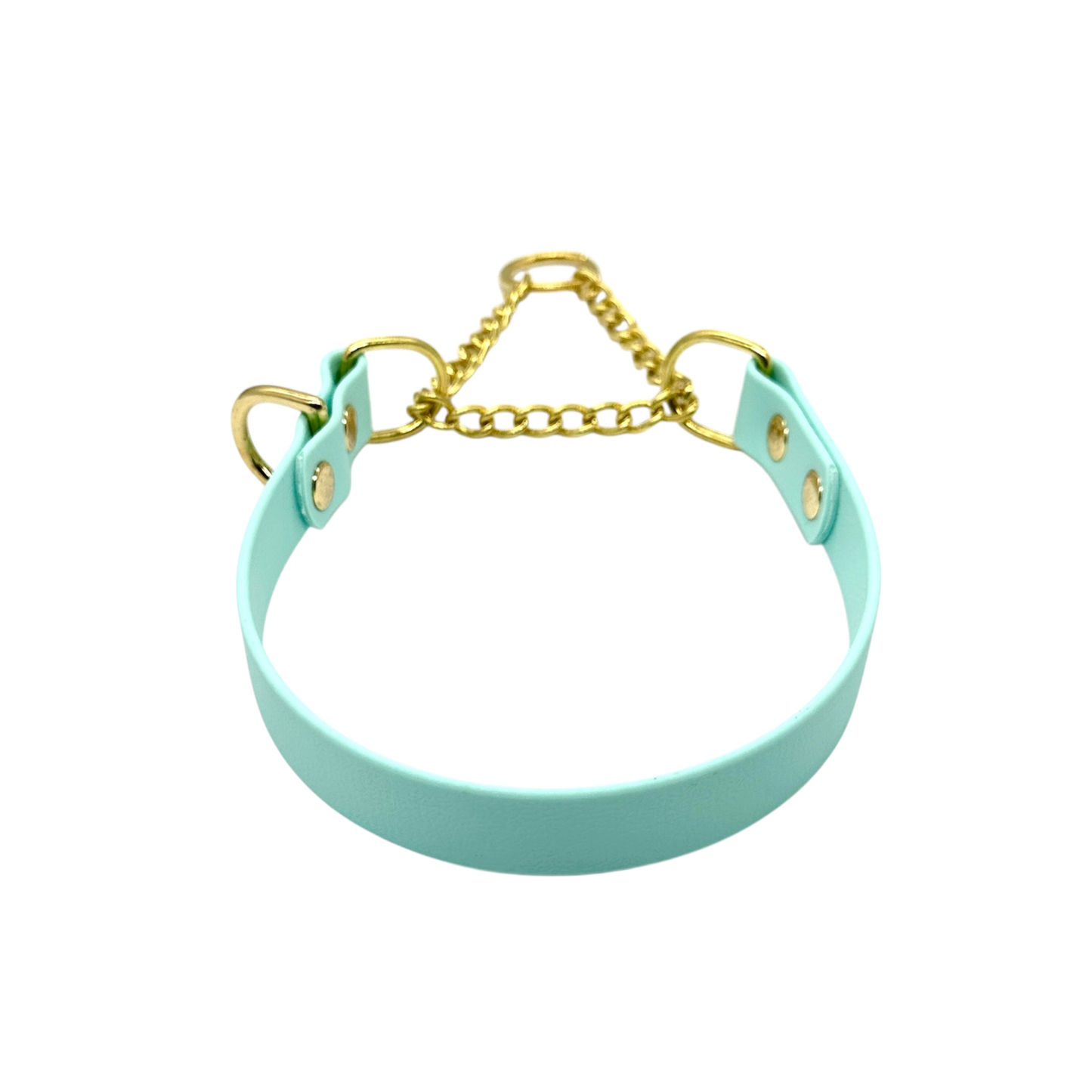 L&J Pets UK Martingale Dog Collar & Lead Set | Waterproof & Odour Proof | BioThane Webbing | Solid Brass Chain | Made in UK