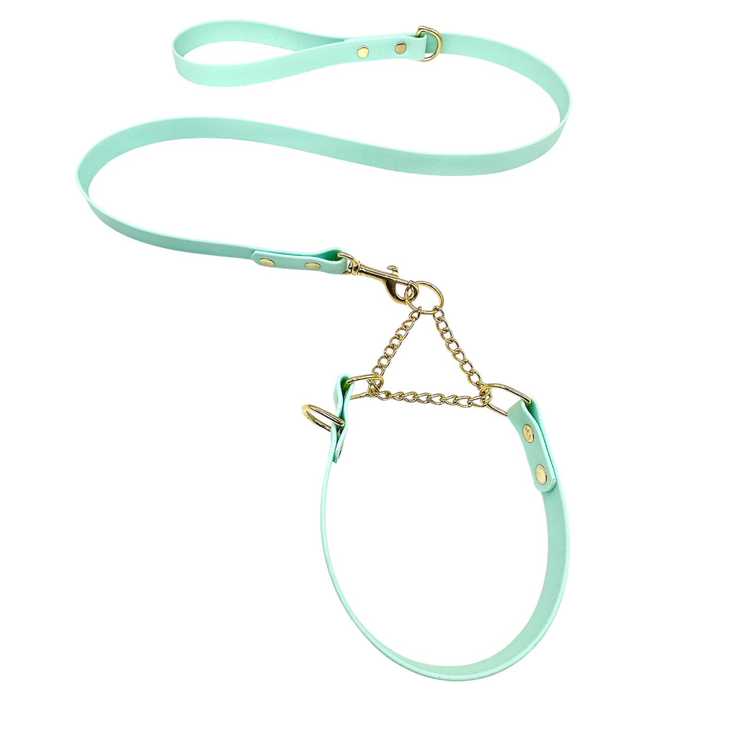 L&J Pets UK Martingale Dog Collar & Lead Set | Waterproof & Odour Proof | BioThane Webbing | Solid Brass Chain | Made in UK