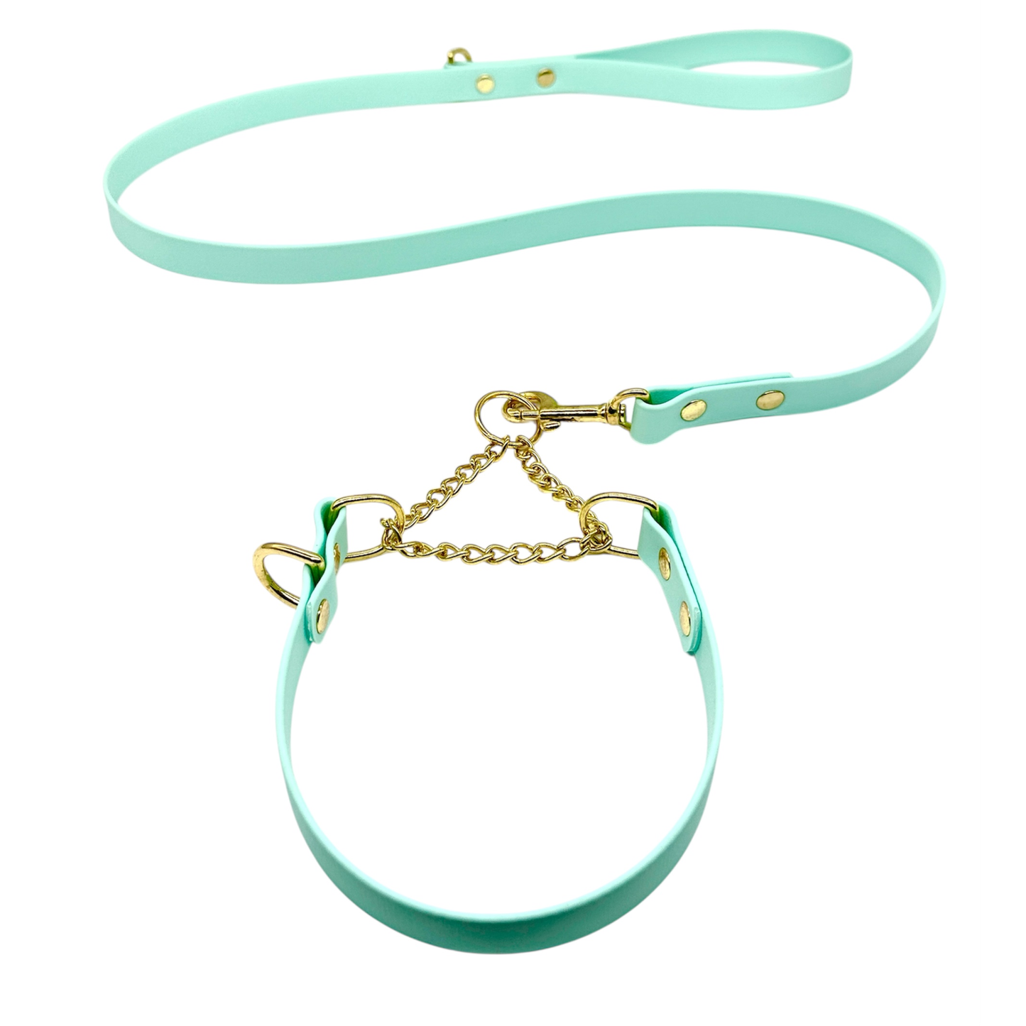 L&J Pets UK Martingale Dog Collar & Lead Set | Waterproof & Odour Proof | BioThane Webbing | Solid Brass Chain | Made in UK