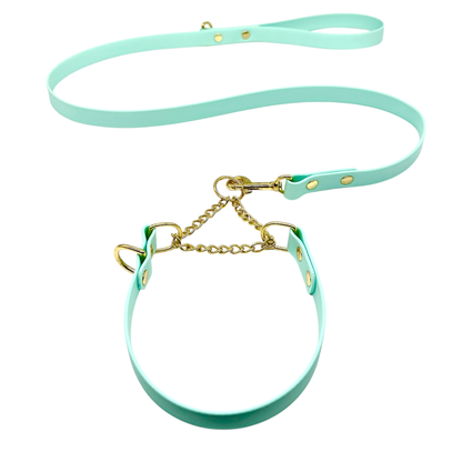 L&J Pets UK Martingale Dog Collar & Lead Set | Waterproof & Odour Proof | BioThane Webbing | Solid Brass Chain | Made in UK