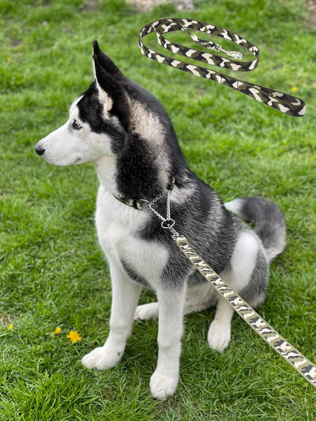 Camo Leash | Dog Training Lead | 3FT - 100FT (1m - 30m) | Strong & Druable Tracking Leash Recall Line