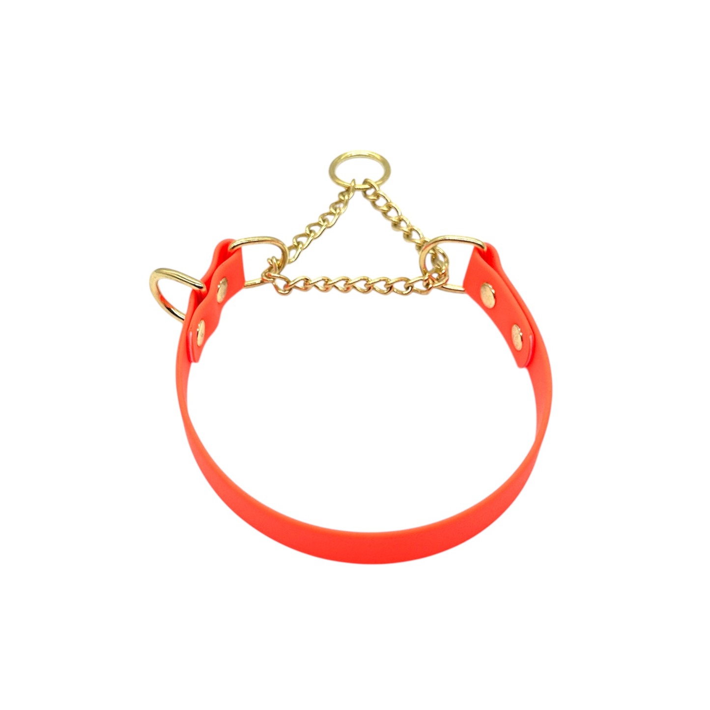 L&J Pets UK Martingale Dog Collar & Lead Set | Waterproof & Odour Proof | BioThane Webbing | Solid Brass Chain | Made in UK