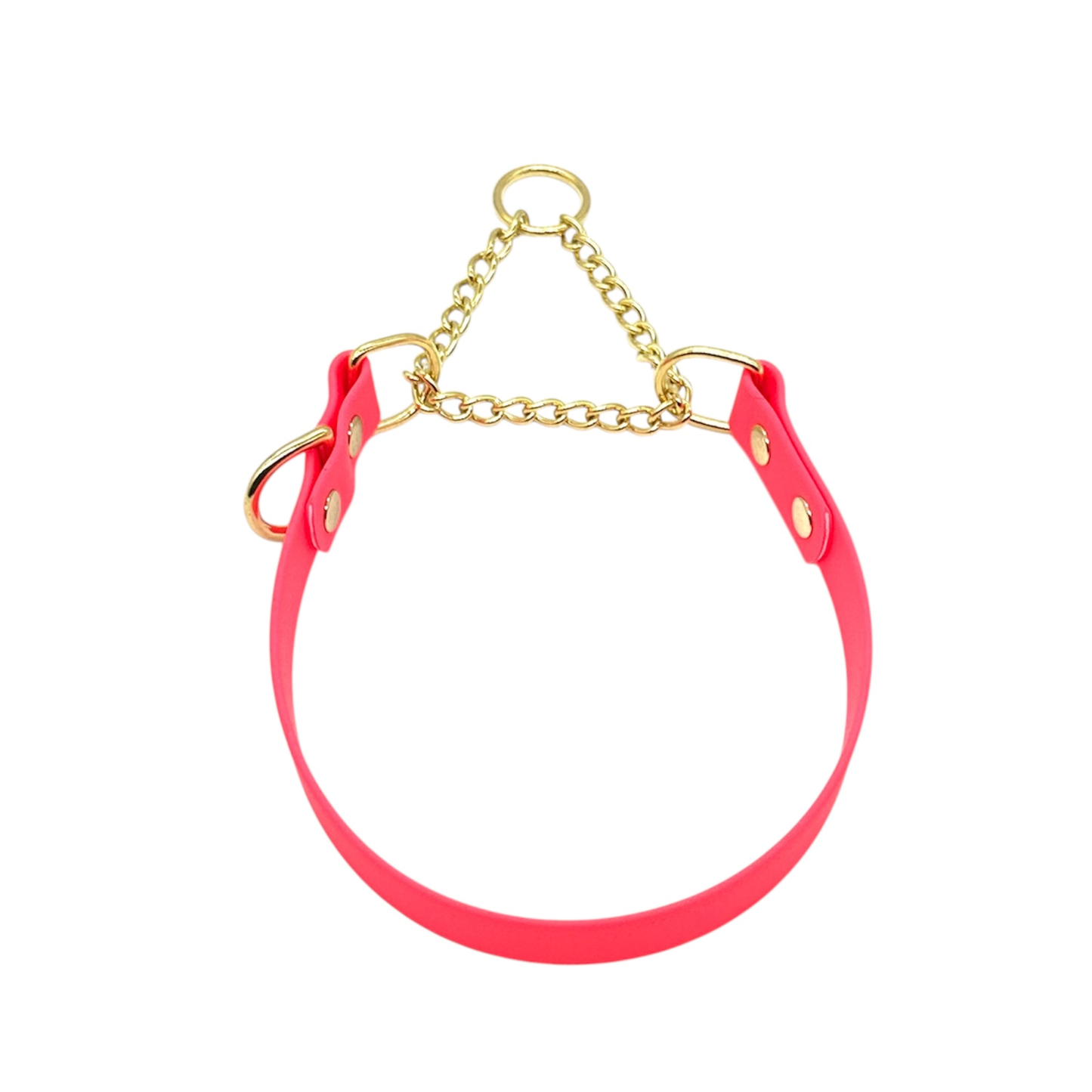 L&J Pets UK Martingale Dog Collar & Lead Set | Waterproof & Odour Proof | BioThane Webbing | Solid Brass Chain | Made in UK