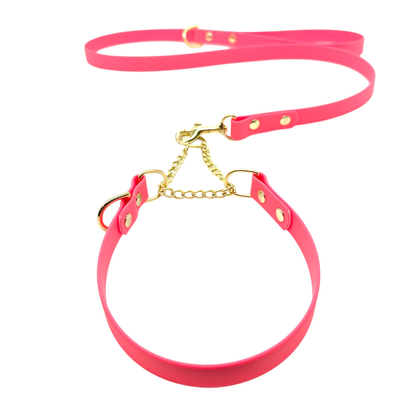 L&J Pets UK Martingale Dog Collar & Lead Set | Waterproof & Odour Proof | BioThane Webbing | Solid Brass Chain | Made in UK