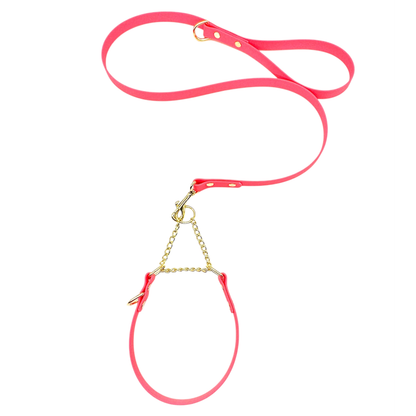 L&J Pets UK Martingale Dog Collar & Lead Set | Waterproof & Odour Proof | BioThane Webbing | Solid Brass Chain | Made in UK