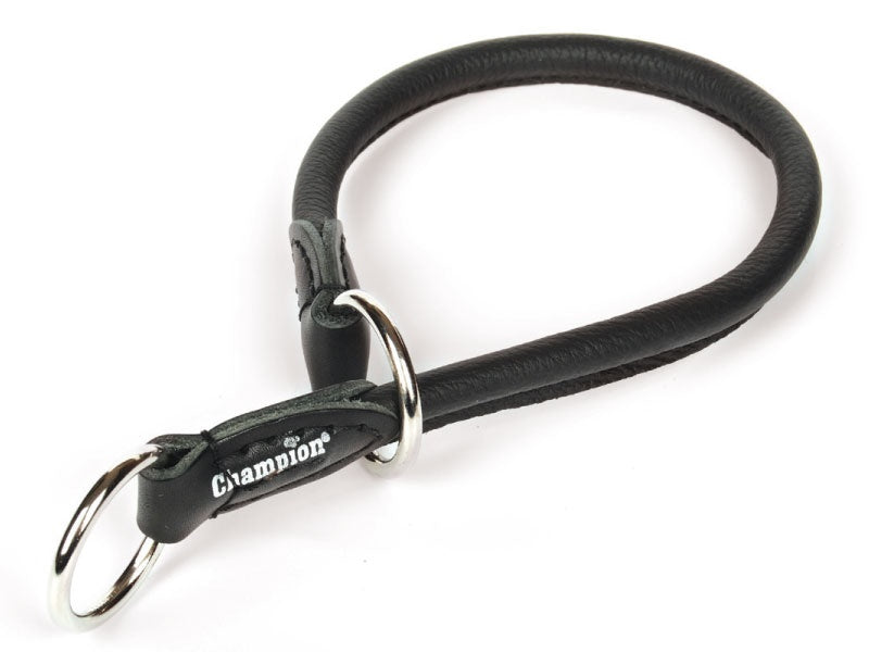 leather dog collar