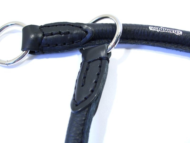 leather dog collar