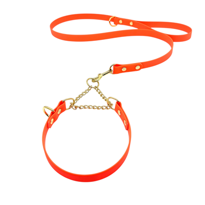 L&J Pets UK Martingale Dog Collar & Lead Set | Waterproof & Odour Proof | BioThane Webbing | Solid Brass Chain | Made in UK