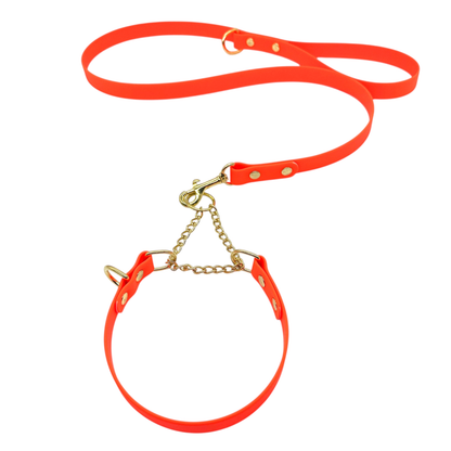 L&J Pets UK Martingale Dog Collar & Lead Set | Waterproof & Odour Proof | BioThane Webbing | Solid Brass Chain | Made in UK