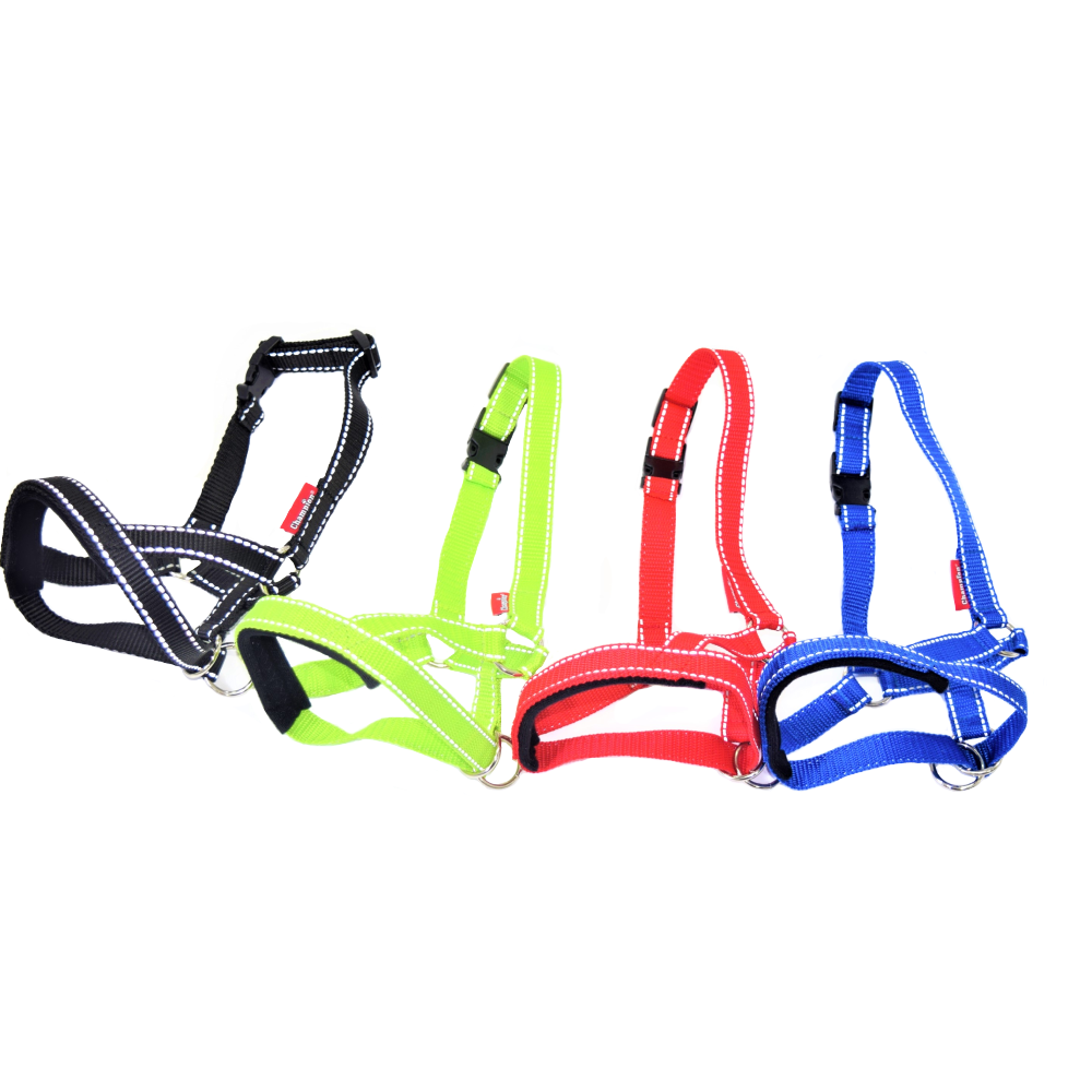 Padded Halters