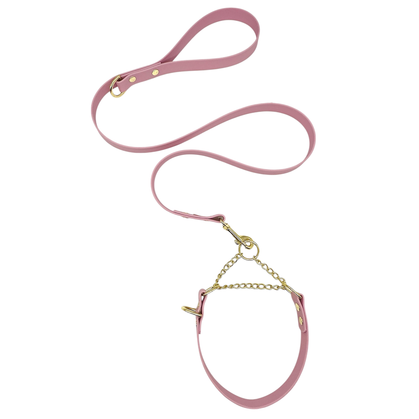 L&J Pets UK Martingale Dog Collar & Lead Set | Waterproof & Odour Proof | BioThane Webbing | Solid Brass Chain | Made in UK