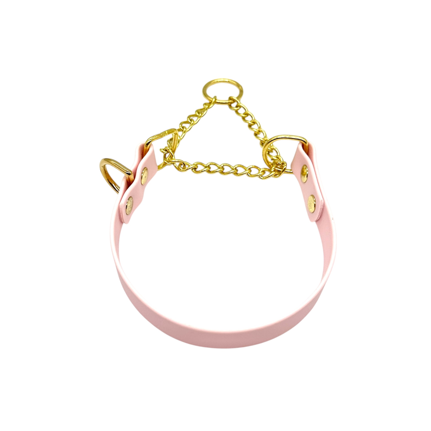 L&J Pets UK Martingale Dog Collar & Lead Set | Waterproof & Odour Proof | BioThane Webbing | Solid Brass Chain | Made in UK