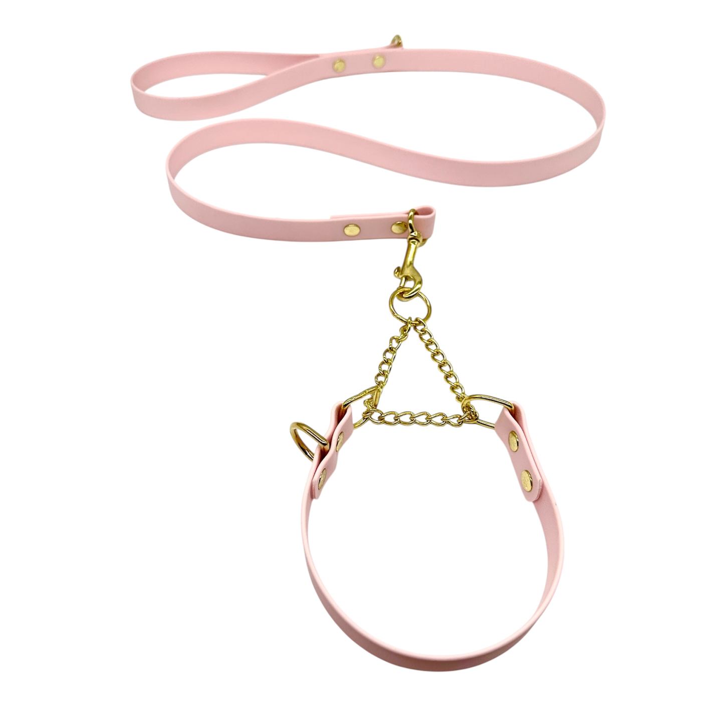 L&J Pets UK Martingale Dog Collar & Lead Set | Waterproof & Odour Proof | BioThane Webbing | Solid Brass Chain | Made in UK