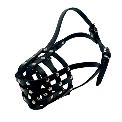 Light Genuine leather Dog Muzzle Light for Pitbull and Other similar snouts