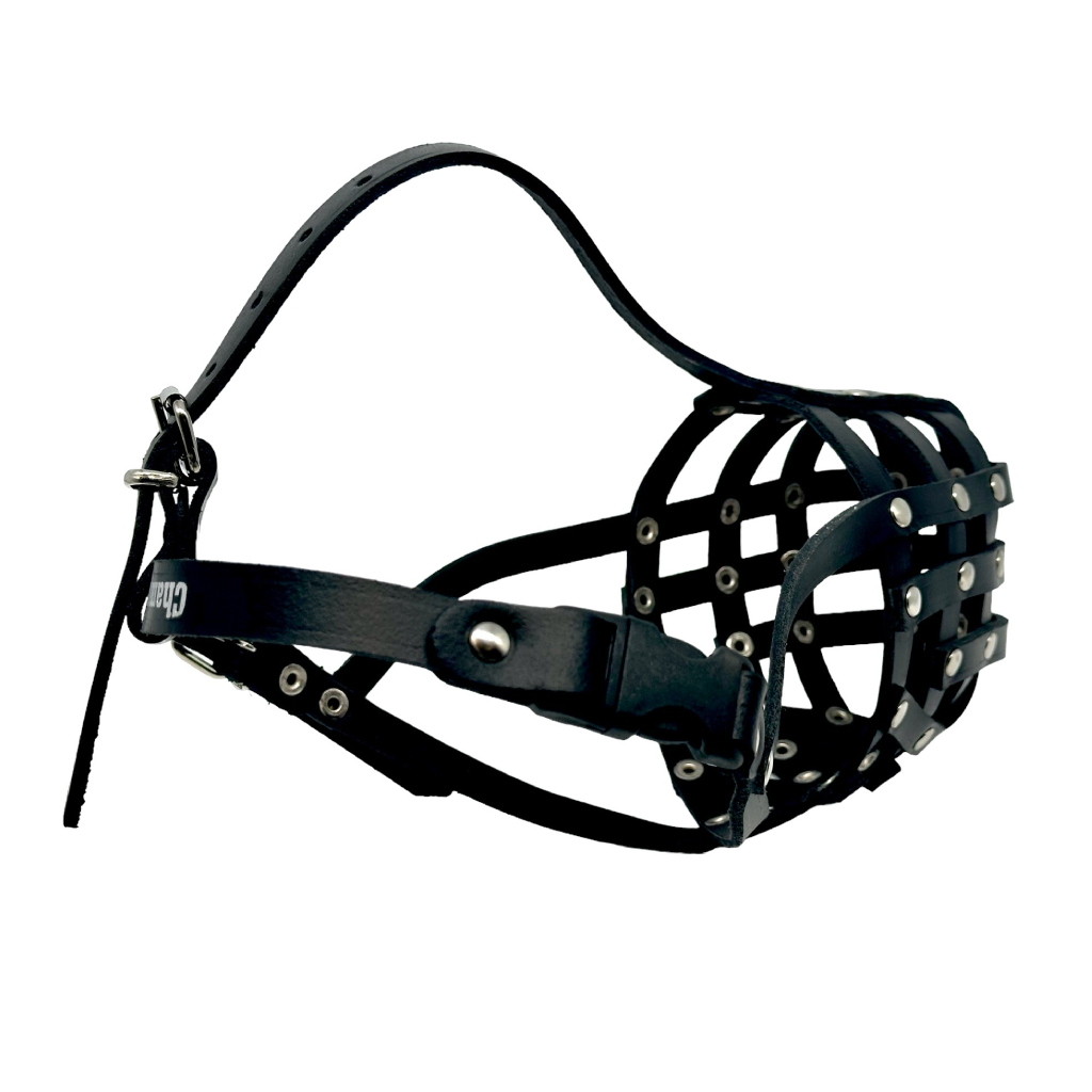 Light Genuine leather Dog Muzzle Light for Pitbull and Other similar snouts