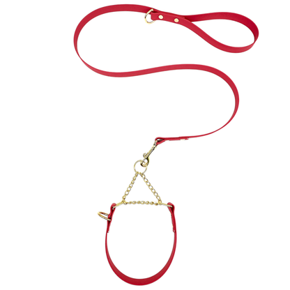 L&J Pets UK Martingale Dog Collar & Lead Set | Waterproof & Odour Proof | BioThane Webbing | Solid Brass Chain | Made in UK