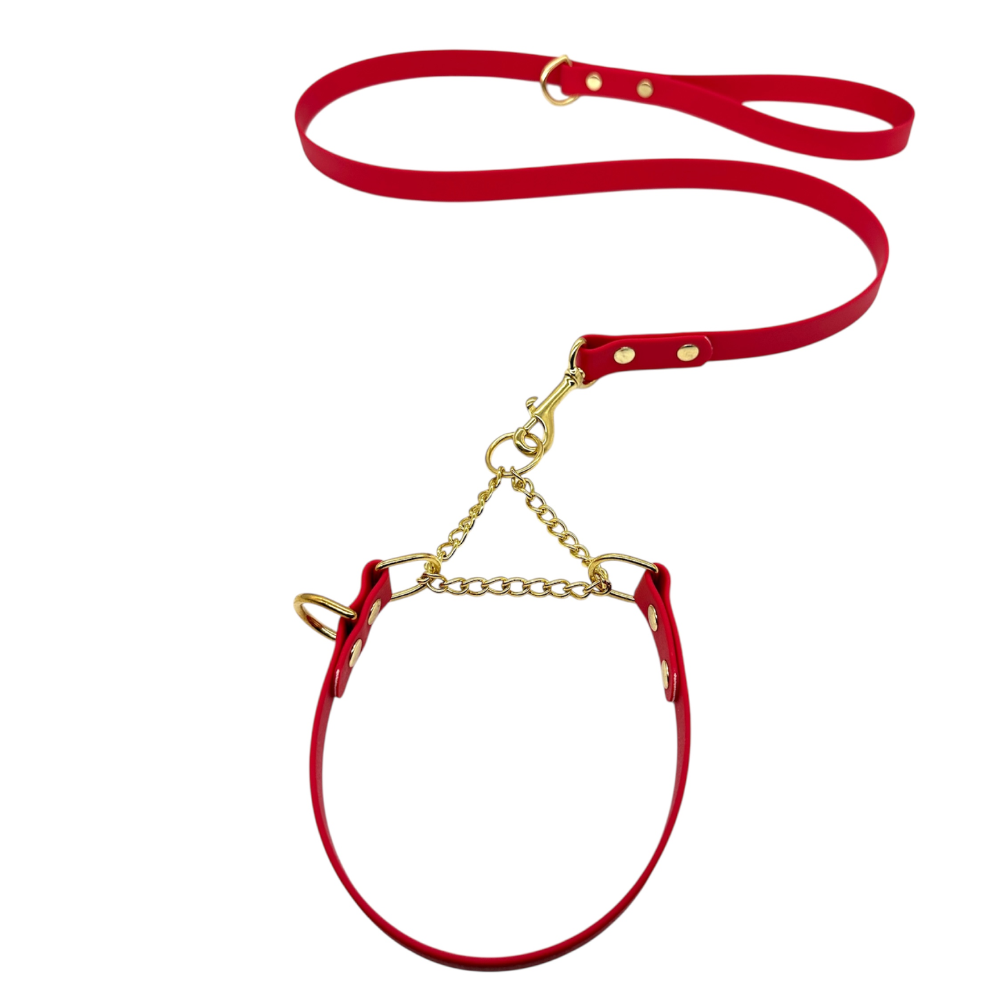 L&J Pets UK Martingale Dog Collar & Lead Set | Waterproof & Odour Proof | BioThane Webbing | Solid Brass Chain | Made in UK