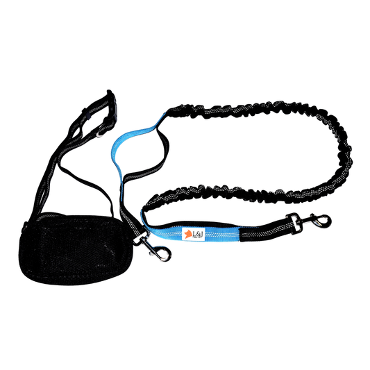 Hands Free Running Dog Leash, Dual handle dog leash bungee - Reflective, Comes with Free Pouch