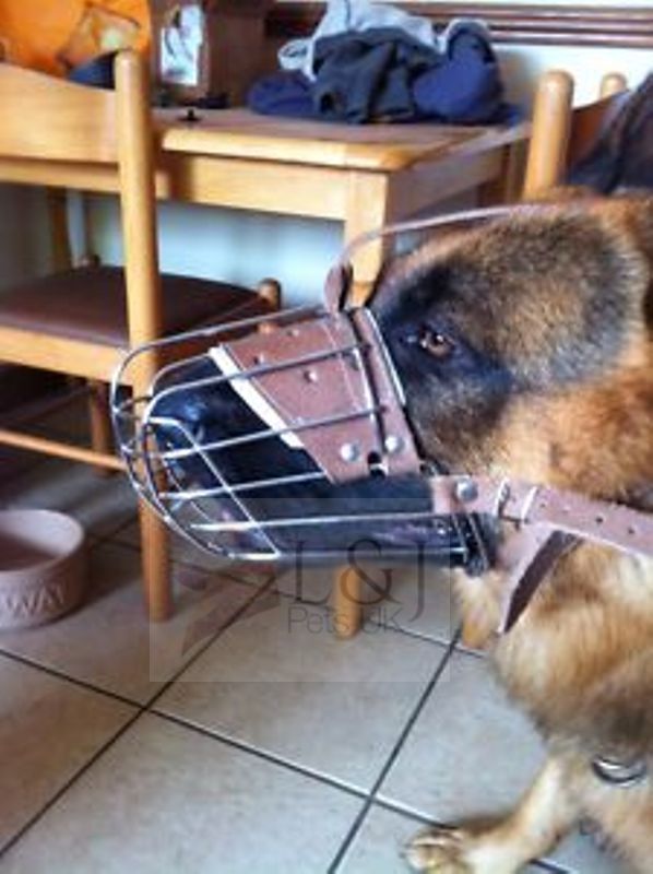 Brown Leather Metal Muzzle