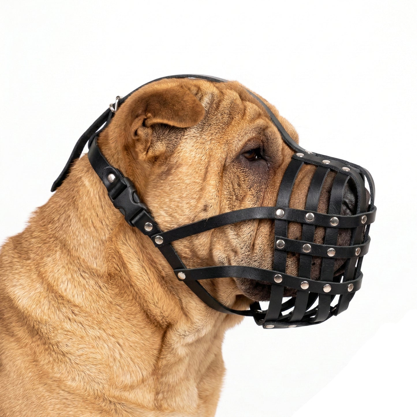 Lightweight Leather Dog Muzzle for Shar Pei and Other similar snouts