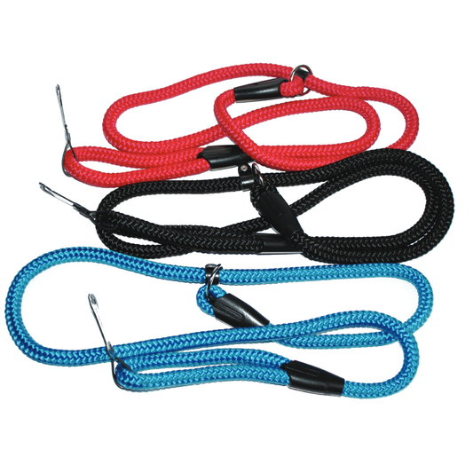 Strong Nylon Dog Leash | Puppy & Dog Training Leash | Slip on Rope Leash