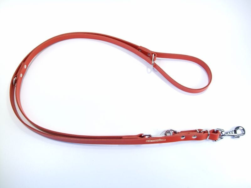 leather dog lead