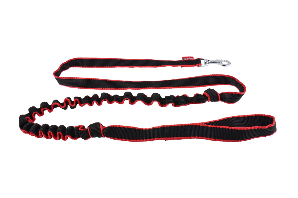 Strong Anti-Shock Absorbing Dog Lead | Double Clip for Walking, Jogging, Running